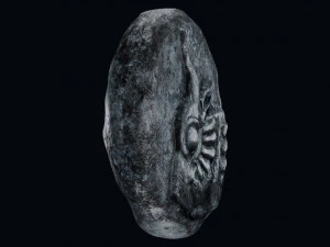 Lycia Coin 3D Model
