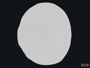 Lycia Coin 3D-Modell