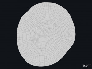 Lycia Coin 3D-Modell