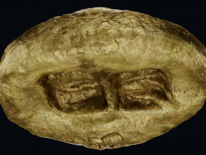 Lydian Coin Model 3D