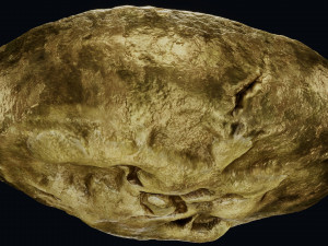Lydian Coin Model 3D
