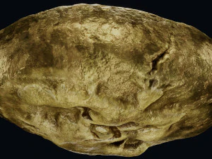 Lydian Coin 3D Model