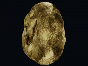 Lydian Coin Model 3D