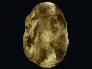 Lydian Coin 3D Model