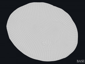 Lydian Coin Model 3D