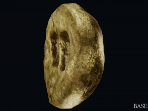 Lydian Coin Model 3D