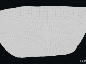 Luwian Hieroglyphic Slab 3D Model