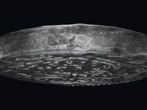 Moneta Karamanoglu Modello 3D