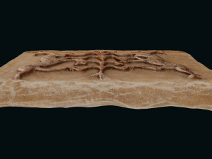 Phrygian Terracotta Modello 3D
