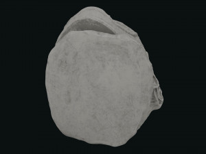 Seleukos Bust 3Dモデル