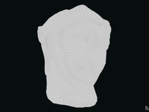 Seleukos Bust 3Dモデル