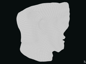 Seleukos Bust 3Dモデル