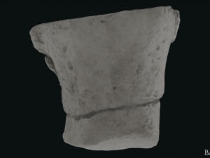 Seleukos Bust 3Dモデル
