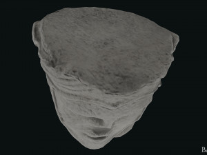 Seleukos Bust 3Dモデル