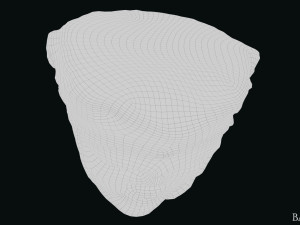 Seleukos Bust 3Dモデル