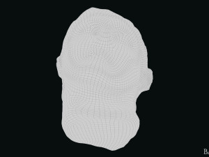 Seleukos Bust 3Dモデル