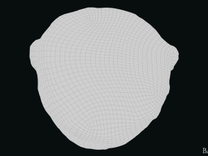 Seleukos Bust 3Dモデル