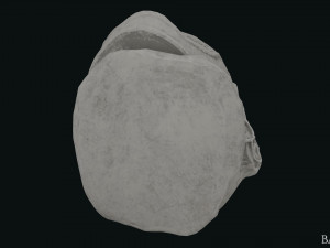 Seleukos Bust 3Dモデル