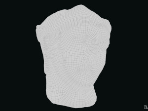 Seleukos Bust 3Dモデル