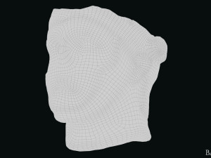 Seleukos Bust 3Dモデル