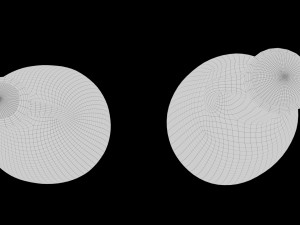 Amphoras 3D Model