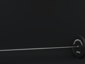 barbell and weights 3D 模型