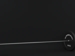 barbell and weights 3D Model