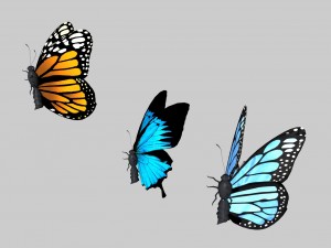 low poly butterfly Model 3D