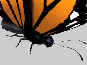 low poly butterfly Model 3D