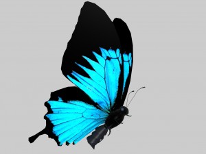 low poly butterfly Model 3D