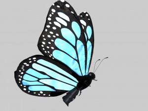 low poly butterfly Model 3D