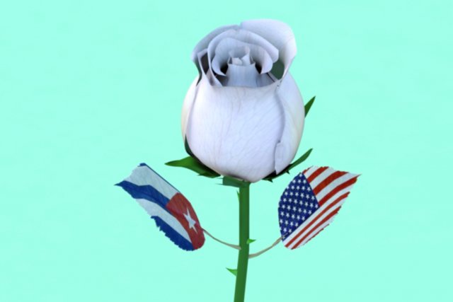 rose Modèle 3D .c4d .max .obj .3ds .fbx .stl .blend 