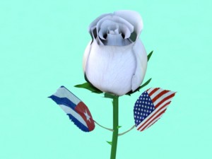 rose Modèle 3D