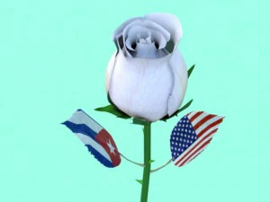 गुलाब 3D मॉडल