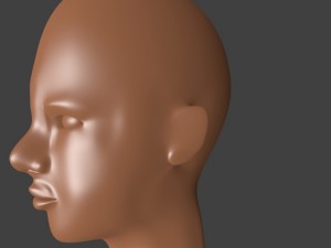 head 3D Model