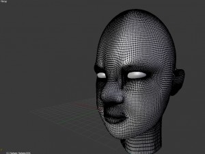head 3D Model