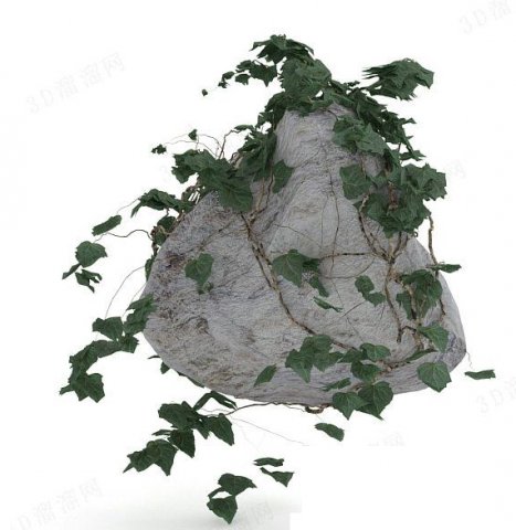 stone with leaves Modèle 3D .c4d .max .obj .3ds .fbx .stl .blend