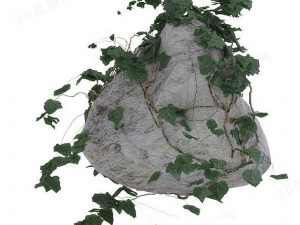 stone with leaves 3D Model