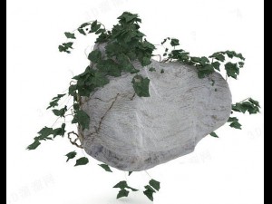 stone with leaves Modèle 3D