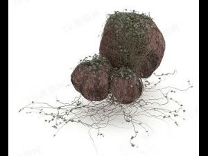 stones with plants 3D Model