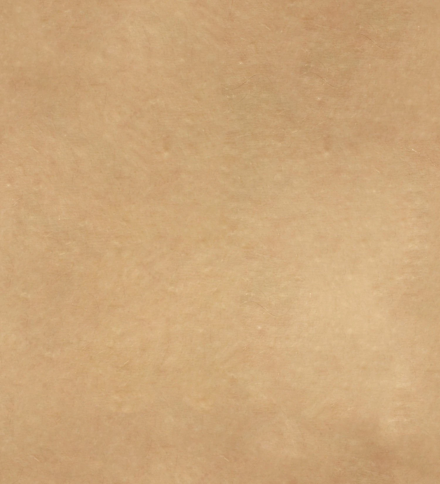 human skin texture CG Textures .c4d .max .obj .3ds .fbx .stl .blend 