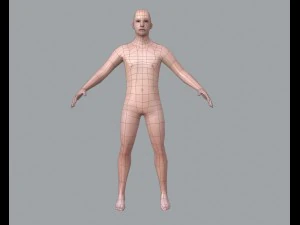 basic male 3D Model
