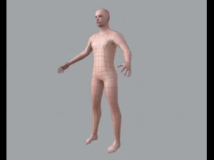 basic male 3D Model