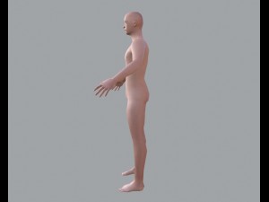 basic male 3D मॉडल