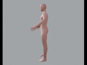 basic male 3D Model