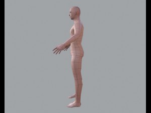 basic male 3D मॉडल