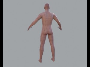 basic male 3D मॉडल