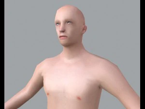 basic male 3D Model