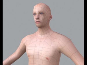 basic male 3D मॉडल