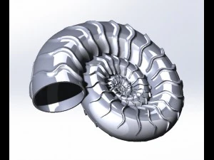 アンモナイト 3Dプリントモデル